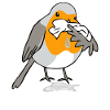 Rotzkehlchen hell Rotkehlchen hat Schnupfen