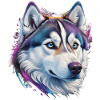 Husky Head