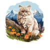 Chat persan Perser Katze