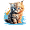 Chat persan Perser Katze