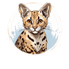 Savannah
