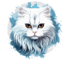 Chat persan Perser Katze
