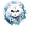 Persian Cat Perser Katze