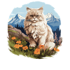 Chat persan Perser Katze