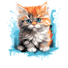 Persian Cat Perser Katze
