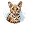 Savane