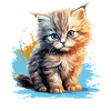 Persian Cat Perser Katze