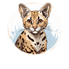 Savane