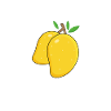 Mango Frucht Mango