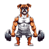 Muscle Boxer Dog Bodybuilding Fun