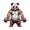 Divertente Panda Orso Bodybuilder Fitness Design