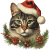 Paws and Claus