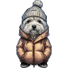 Maltese Dog Winter Outfit
