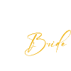 Team Bride