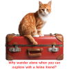 Adventurous Feline with Suitcase Illustration