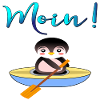 Moin Pinguin Kajak