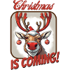 Rudi the Reindeer