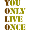 YOLO 4