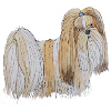 Lhasa Apso Fun