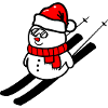 Schnemann Ski