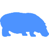 hippopotamus