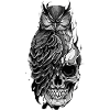 Owl Perched on Skull