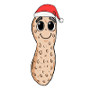 Peanut Christmas