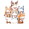 Volleyball Volleyball Dogs