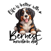 Berner Sennenhund