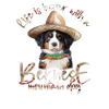 Bernese mountain dog