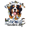 Berner Sennenhund