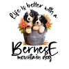 Berner Sennenhund