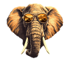 Stylish African elephant with sunglasses