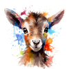 Baby goat, kid