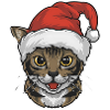 Cat Christmas Santa Hat Comic