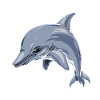Dolphin