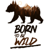 Bear aesthetic design