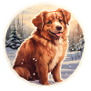 Hund im Schnee