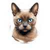 Chat birman Birmanie Katze