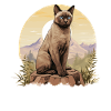 Burmese Cat Burma Katze