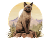 Burmese Cat Burma Katze