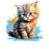 Chat persan Perser Katze
