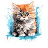 Chat persan Perser Katze