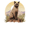 Burmese Cat Burma Katze
