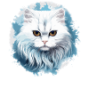 Persian Cat Perser Katze