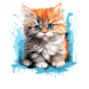 Persian Cat Perser Katze