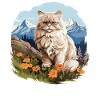 Chat persan Perser Katze