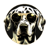 Dalmatian Cool - Dalmatian Dog