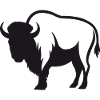 Buffalo