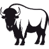 Buffalo
